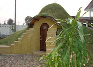 An Affordable Green Roof Image